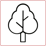 Ilustracja drzewo